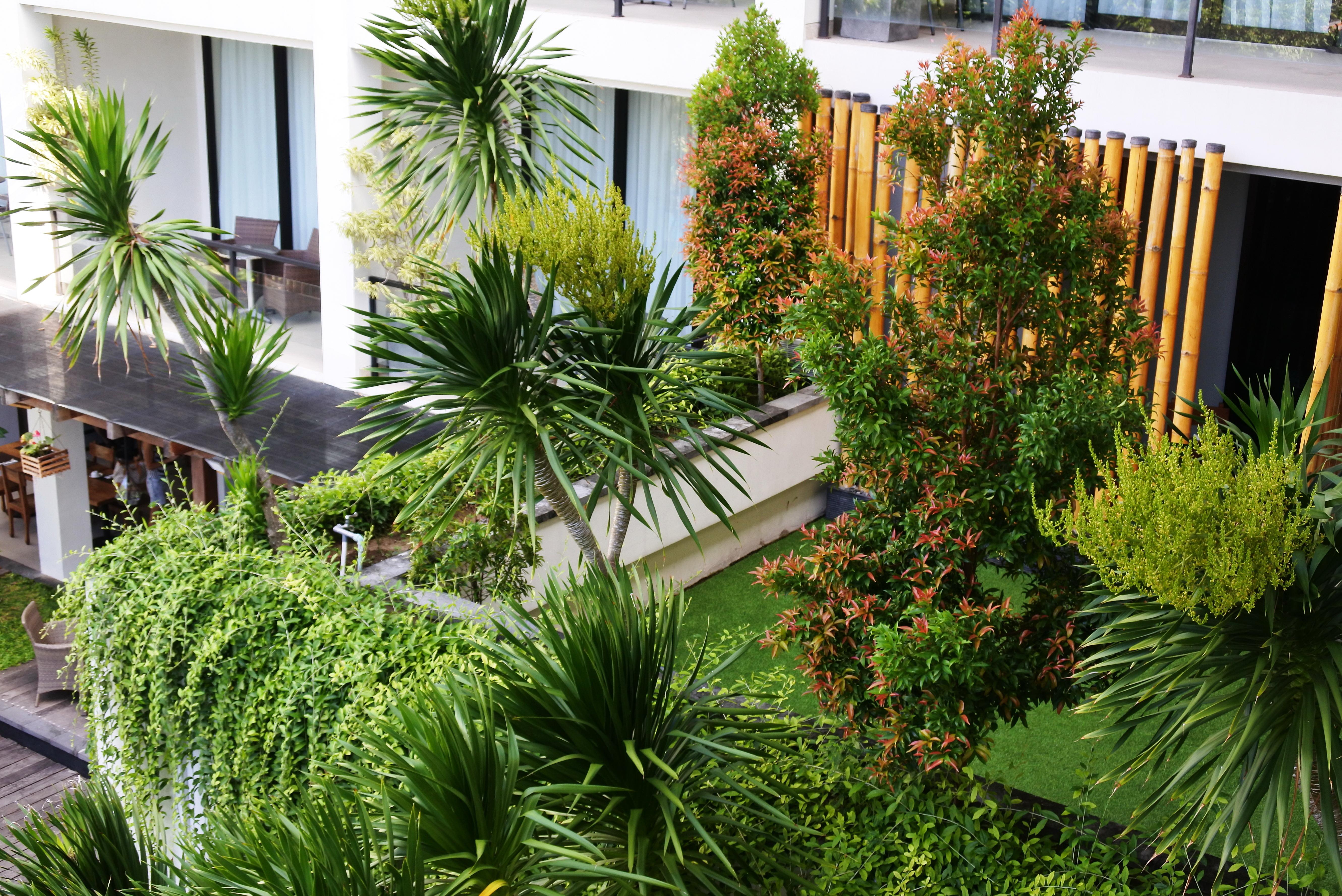 Taksu Sanur Hotel מראה חיצוני תמונה